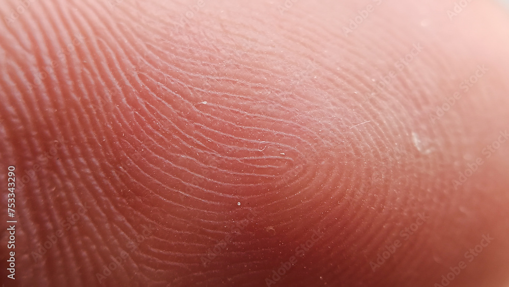 Fingerprint pattern Fingerprint pattern
