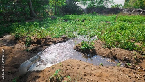 Watering Peanut Plants Indian Farmer Agriculture