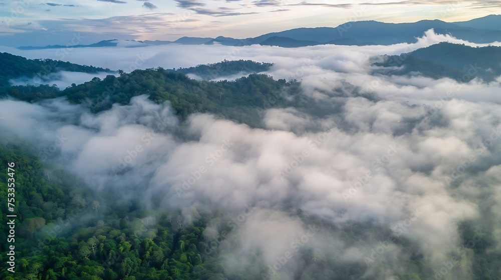 Generative AI : Panorama of flowing fog waves on mountain tropical rainforest