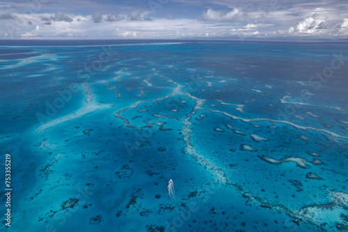 Cruising above the reef