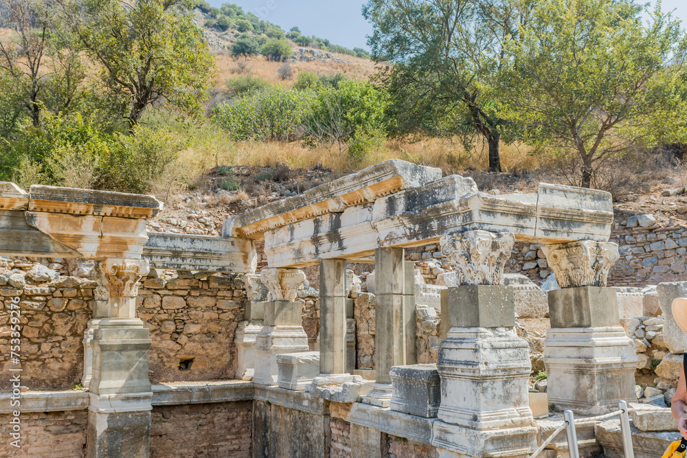 Detailed view of ancient ruins with stone columns and structural fragments, set among trees, in Ephesus, Turkiye