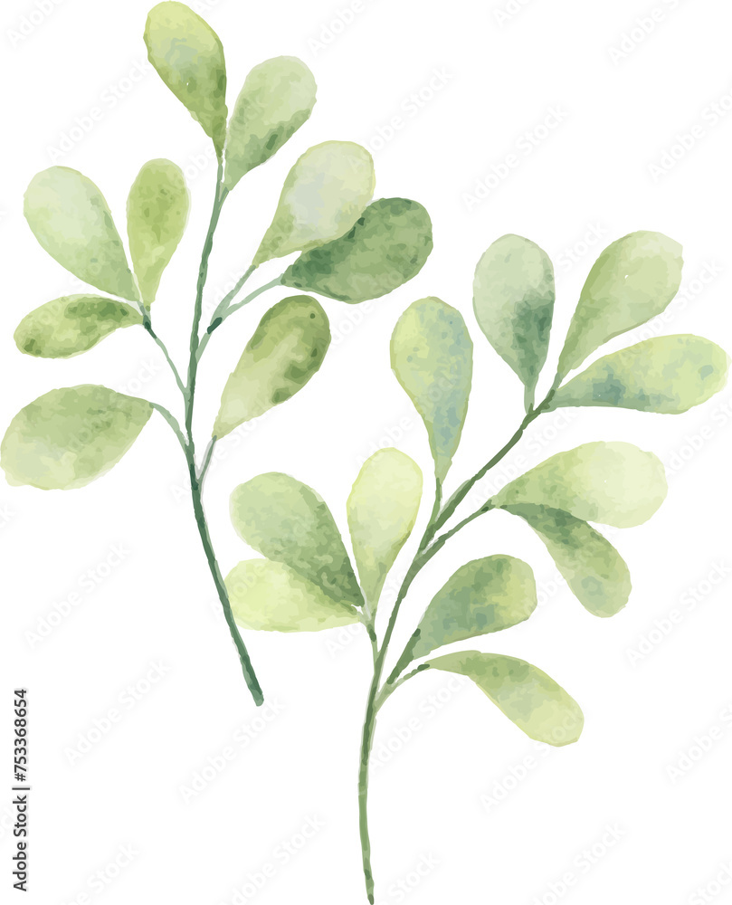 Watercolor green leaves