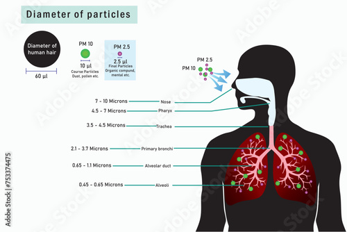 Breathing unhealthy levels of pollution from fine particulates (PM2.5) can increase the risk of health problems like heart disease, asthma, and low birth weight.