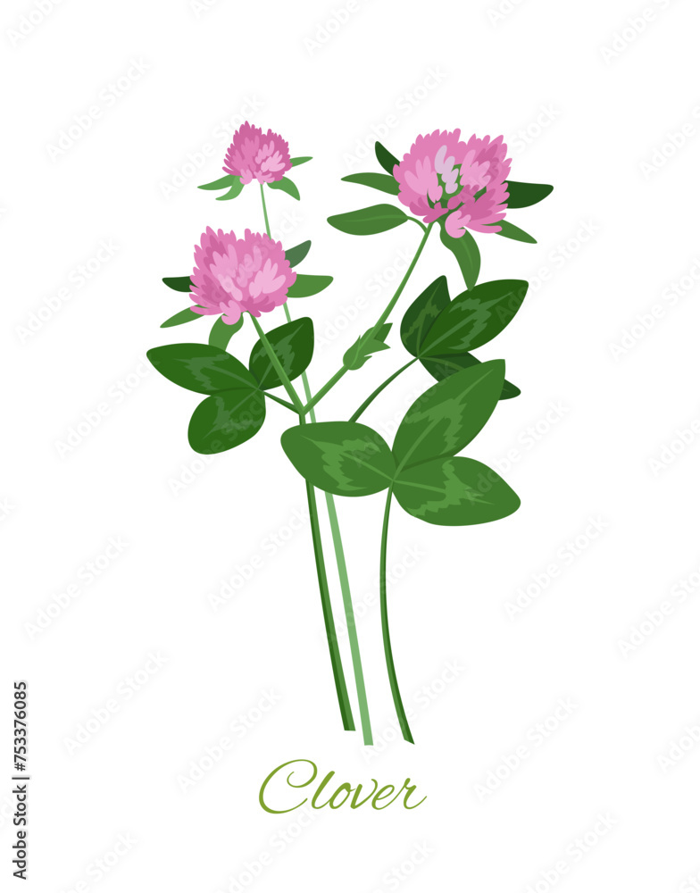 Wildflowers with text. Flower with inscription clover. Floristry and botany. Bloom and blossom plant with violet bud. Cartoon flat vector illustration isolated on white background Wildflowers with text. Flower with inscription clover. Floristry and botany. Bloom and blossom plant with violet bud. Cartoon flat vector illustration isolated on white background