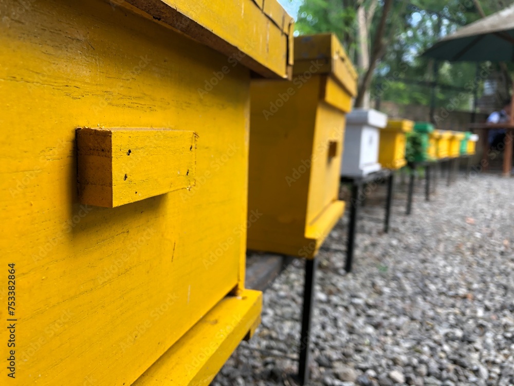 yellow bee house in the forest