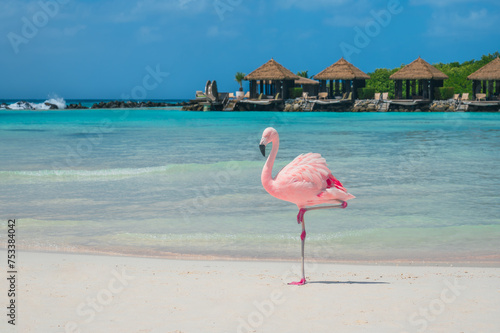 Fototapeta Naklejka Na Ścianę i Meble -  One pink flamingo on white sand beach with Caribbean Sea and cabanas in the background, Flamingo Beach, Renaissance Private Island, Aruba. Photo taken in February 2024.