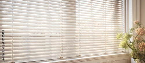 Horizontal Blinds Positioned On a Window