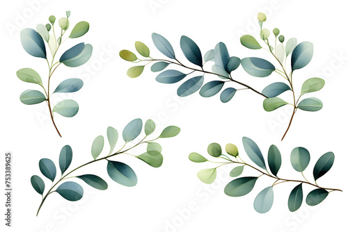 .Greenery Leaves Eucalyptus Watercolor Hand Drawn. Set of green leaf in watercolor style isolated on white background, generated by AI. 3D illustration