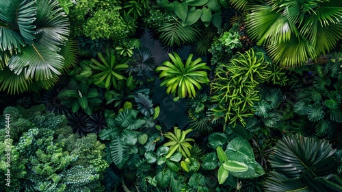 This botanical wonderland is a carefully curated collection of plants from all corners of the world. Each one has been carefully chosen to thrive in this diverse ecosystem.