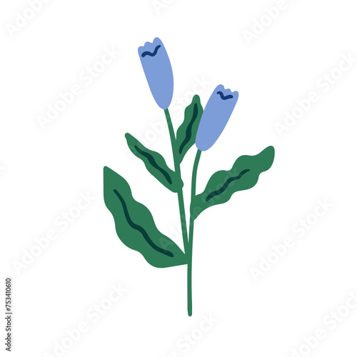 Spring flower, floral stem. Blooming field wildflower. Flora sprig with gentl...