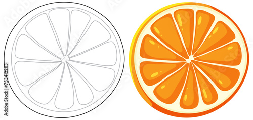 Illustration of orange in two different styles.