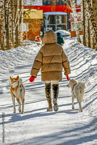 A woman with two dogs walks along the park alley on a winter day