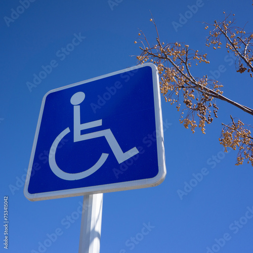 Blue Handicapped Parking Sign with Blue Sky and Tree Branch