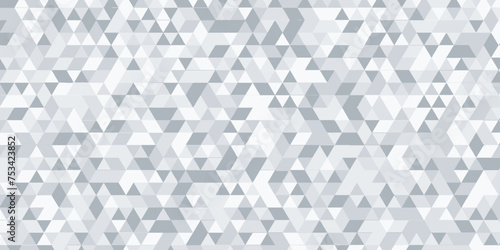 Abstract gray and white small geometric triangle background with Origami style. abstract seamless mosaic and low polygon triangle texture wallpaper. Gray polygonal background, vector illustration .