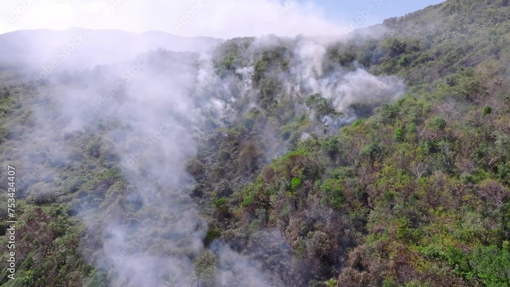 Smoke rises through treetops from forest fire, Cabo Cabron National Park. Aerial Smoke rises through treetops from forest fire, Cabo Cabron National Park. Aerial