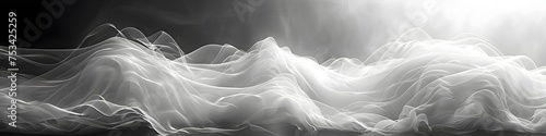 Dynamic Abstract Black and White Waves with Soft Misty Light, To provide a visually striking and unique design element for a variety of uses,