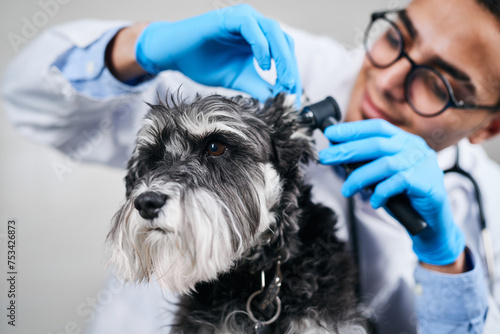 Veterinarian checking up dog's ears with otoscope photo