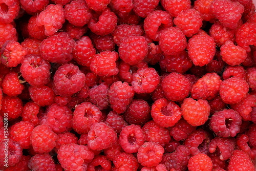 Raspberries are ripe red and sweet.