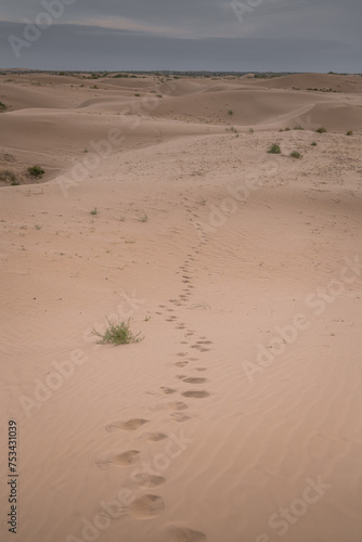 The sand hills in Ba Dan Ji Lin desert of Inner Mongolia  China