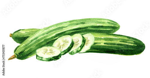 Long Cucumber, Watercolor hand drawn illustration, isolated on white background