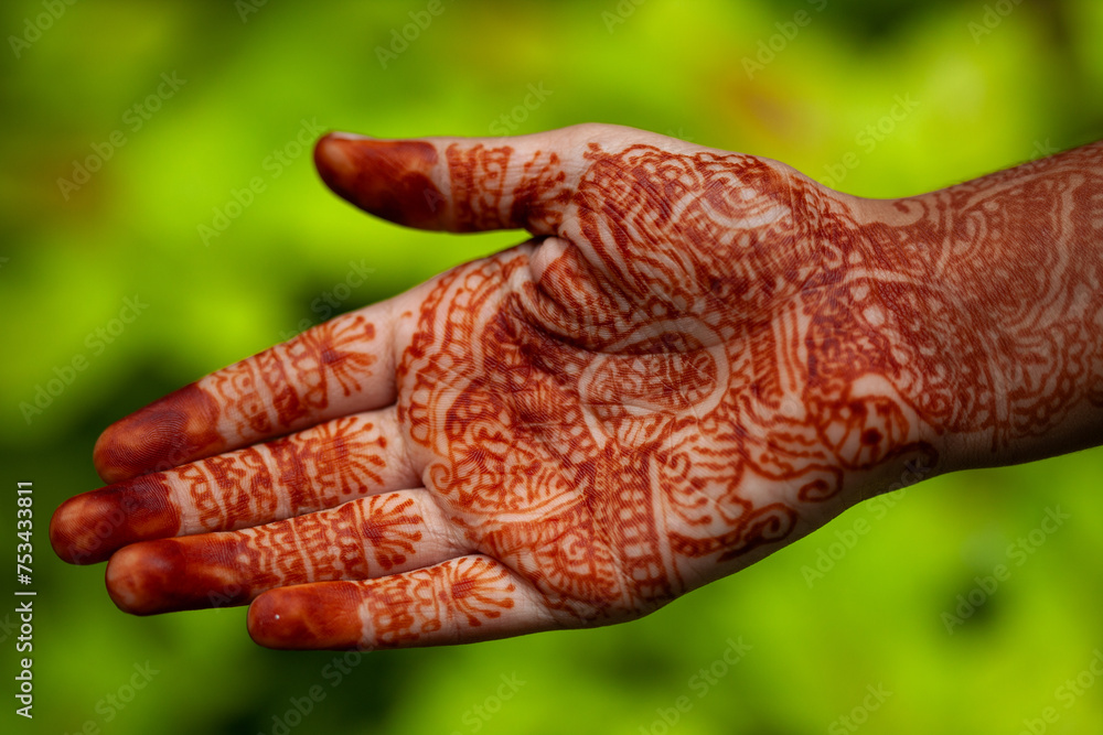 Hand adorned with intricate henna designs Hand adorned with intricate henna designs