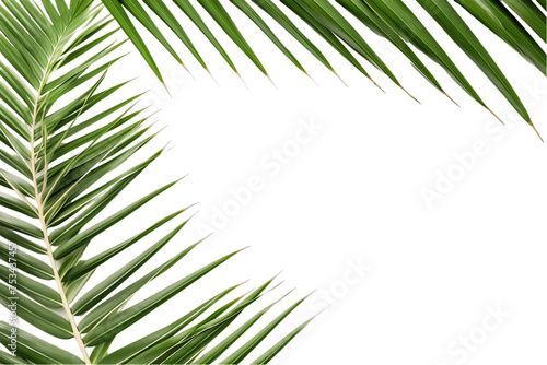 Lush green palm fronds frame a bright summer sky in this tropical beach background