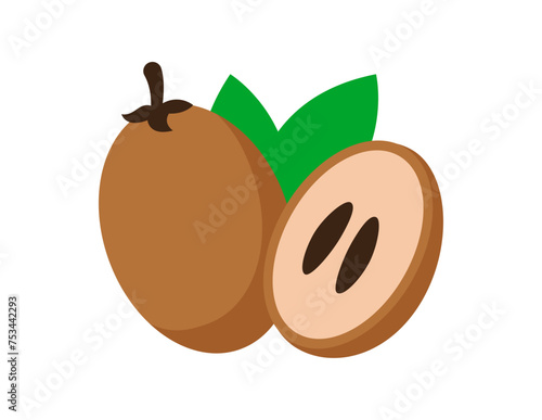 sapodilla illustration for coloring book template, sapodilla for kids worksheet printable