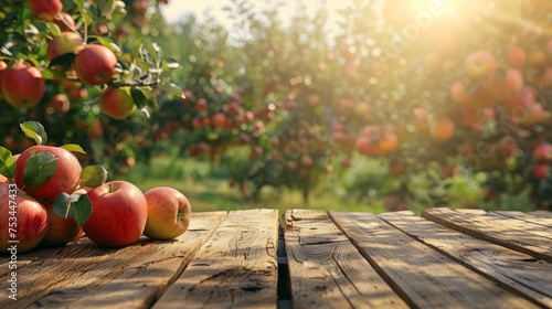 rustic wooden table place of free space for your decoration and apple trees with fruits in sun light