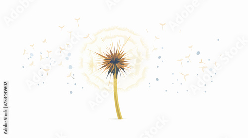 A dandelion in seed over a white background isolated