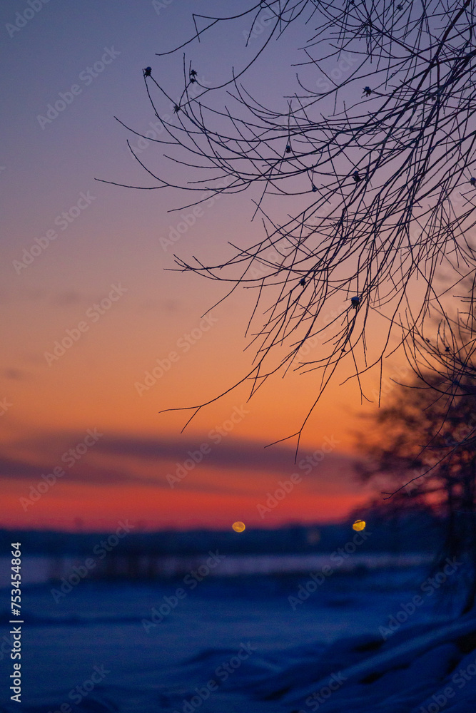 Fototapeta premium A beautiful sunrise landscape with a tree silhouette against the frozen lake. Winter scenery of Northern Europe.