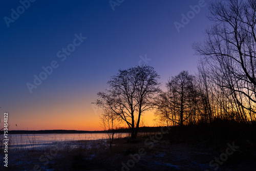A beautiful sunrise landscape with a tree silhouette against the frozen lake. Winter scenery of Northern Europe.