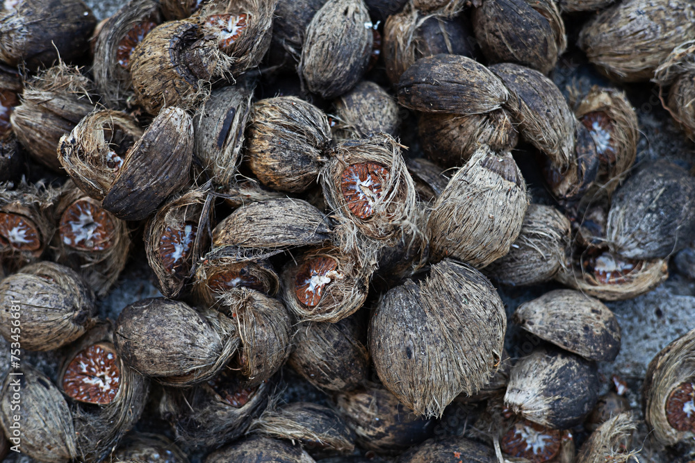 Betel Nut or Areca Nut background. Betel Nut or Areca Nut background.