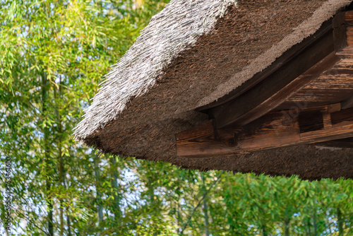 500_F_753461600_05GAZBaeSdJSQ0