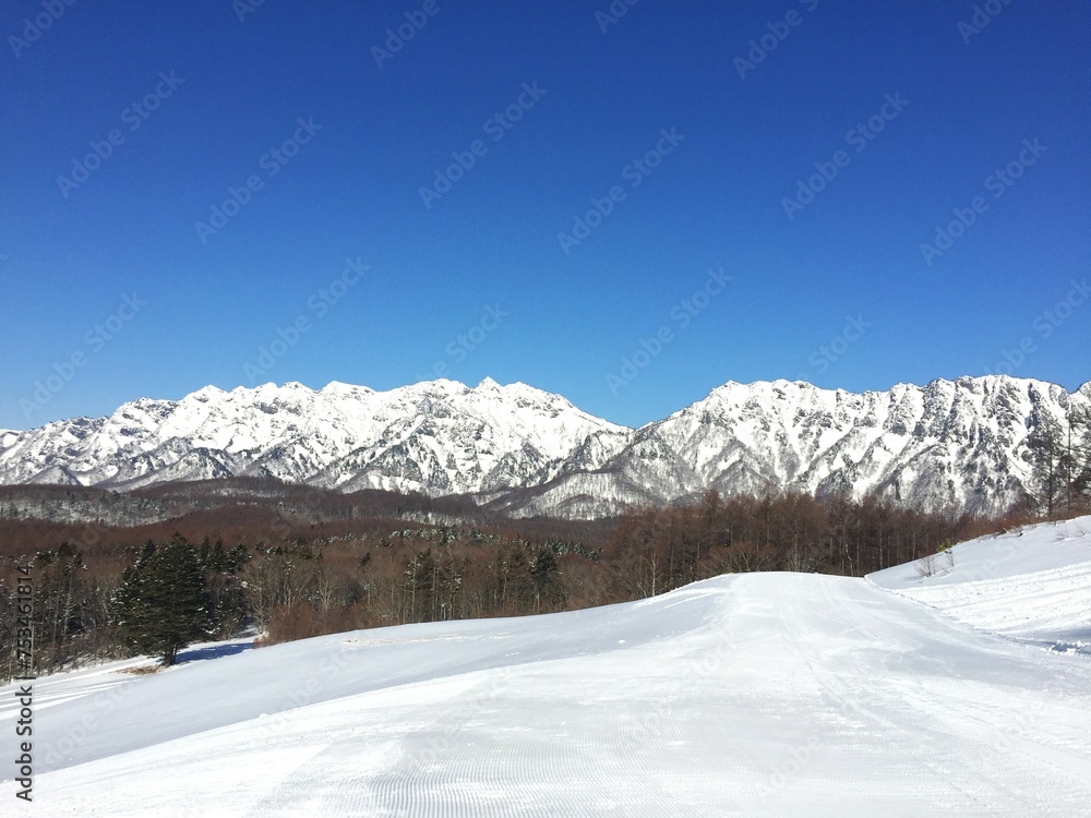 冬の雪山の景色