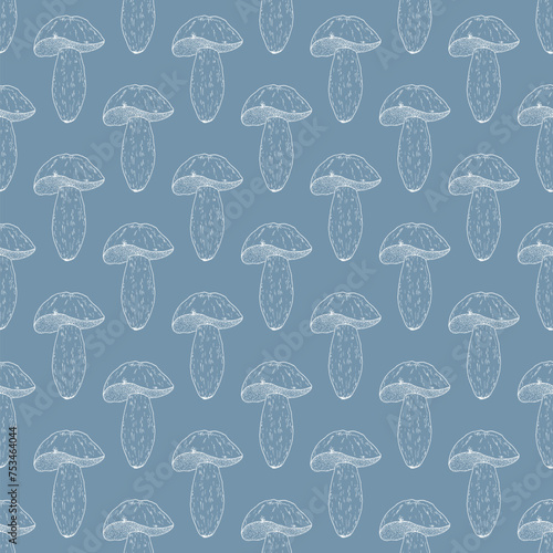 Seamless pattern with porcino (Boletus edulis), edible mushroom