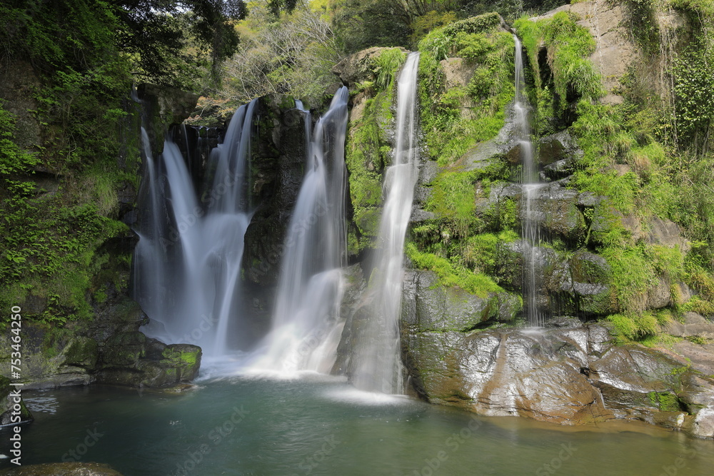 Fototapeta premium 新緑と清流の滝