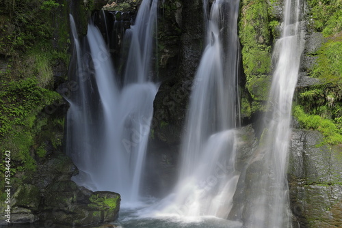 Fototapeta Naklejka Na Ścianę i Meble -  新緑と清流の滝