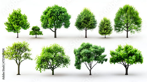 collection of trees isolated on white