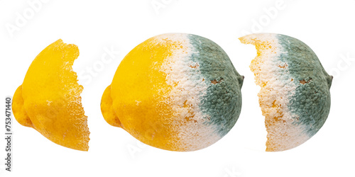 Rotten moldy lemon isolated on white background