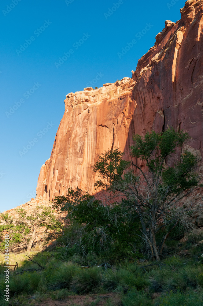 Fototapeta premium Plateaus and Orchards at Capitol Reef National Park in Utah