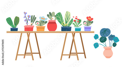 Botanical set of indoor plants. Interior houseplants, flowerpots. Home indoor green decor on furniture. Shelf for flowering plants. Different blooming flowers and foliage. Flat graphic vector