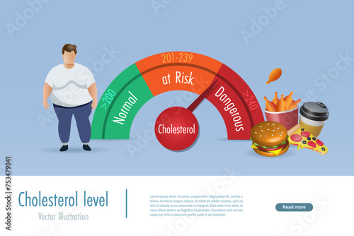 Cholesterol level scale in normal, in risk and dangerous with unhealthy foods. Medical and health care concept. Vector.
