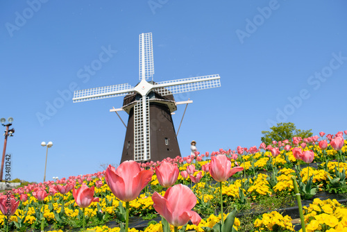 チューリップ畑の鶴見緑地