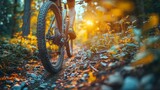 Bike, wheels and person cycling in countryside for fitness, health or off road trail hobby outdoor. Exercise, sports or training with athlete or cyclist on bicycle in nature for cardio workout