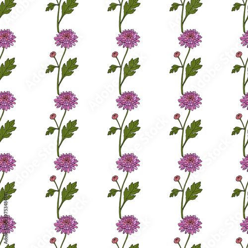 Seamless vector pattern with hand drawn florists daisy