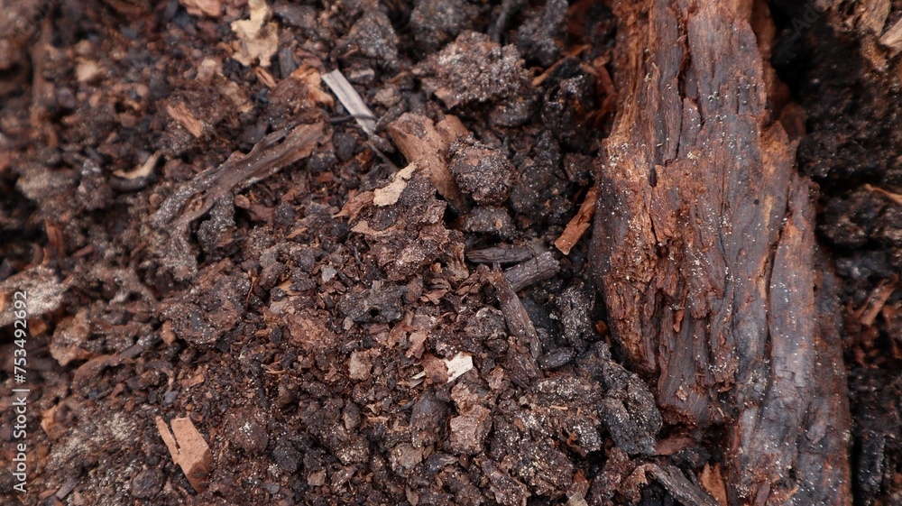 abstract background from humus soil abstract background from humus soil