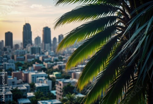 A green palm tree silhouetted against a beautiful cityscape, blending urban and natural elements harmoniously by ai generated © SR Creative Idea