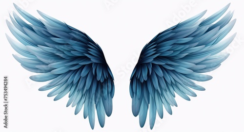 Blue Wings of Bird Isolated on White Background. Illustration of Feathered Element in Black