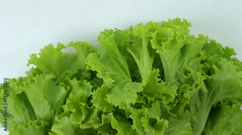 Fresh lettuce leaves close up on white background Fresh lettuce leaves close up on white background