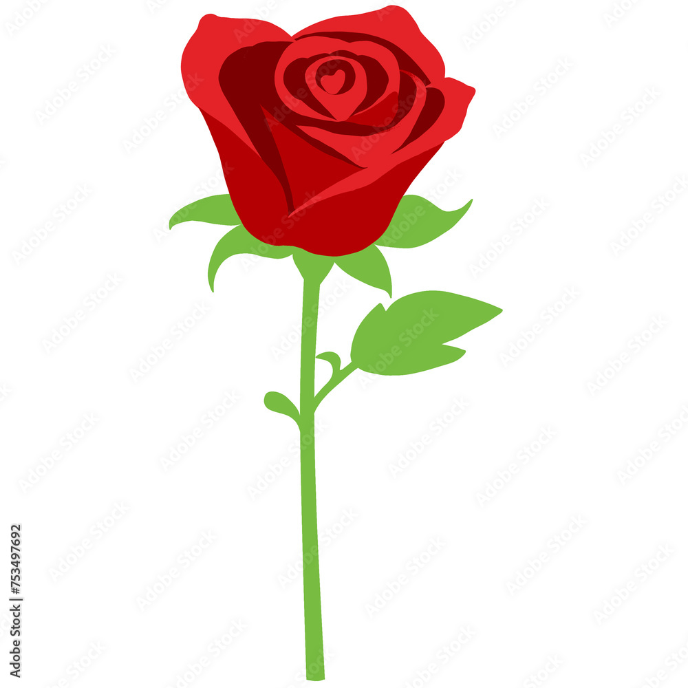 red rose isolated on white red rose isolated on white